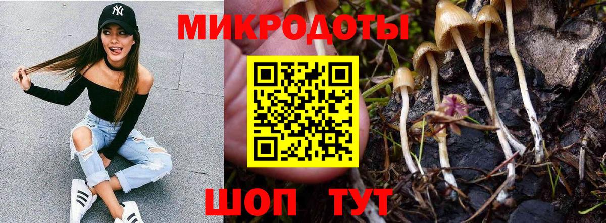 Псилоцибиновые грибы прущие грибы Невинномысск