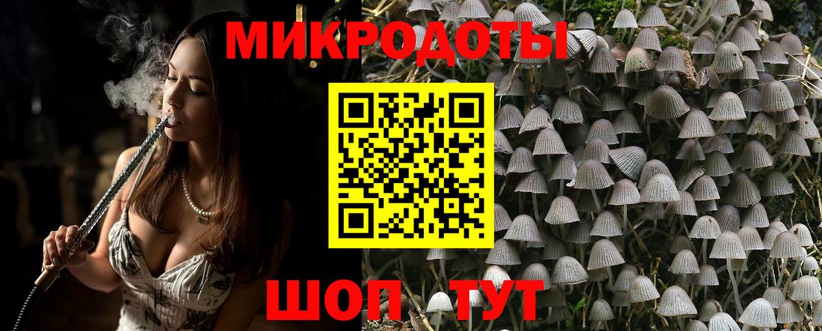продажа наркотиков  Вход с VPN  Невинномысск  Галлюциногенные грибы MAGIC MUSHROOMS  Галлюциногенные грибы Psilocybine cubensis 
